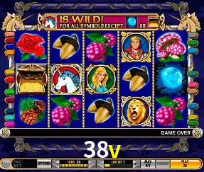 VIP Casino 38v